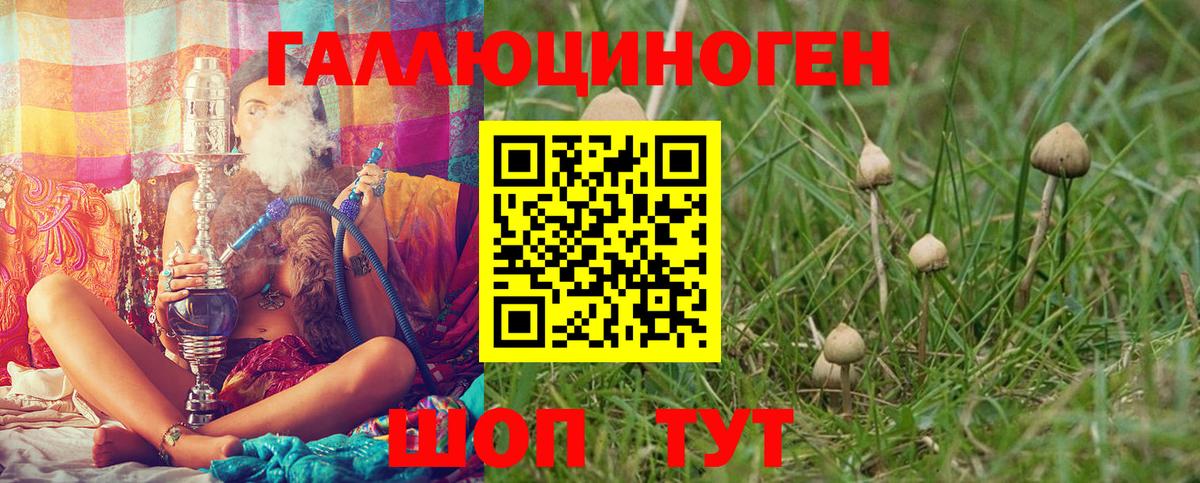 Городец  Галлюциногенные грибы Psilocybine cubensis  Вход с VPN  как найти закладки  Псилоцибиновые грибы прущие грибы 