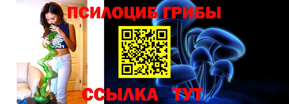 Галлюциногенные грибы Psilocybe Городец